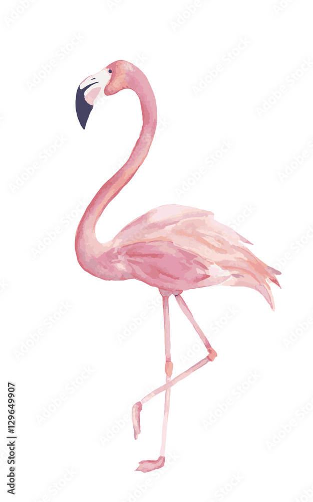 Naklejka premium Watercolor exotic flamingo. Summer decoration print for wrapping, cards, t-shirts, clipart