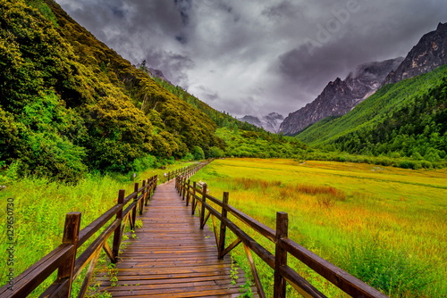 Canvas Print path to yading mountain, china