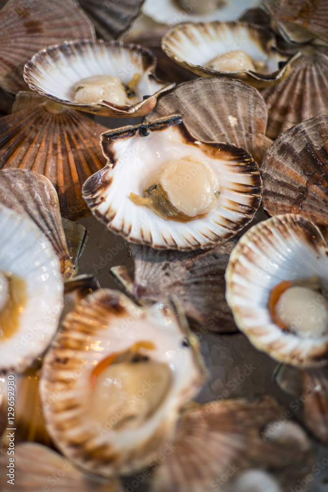 Scallops open in their shells at a fish stall in London's Borough Market, London Scallops open in their shells at a fish stall in London's Borough Market, London