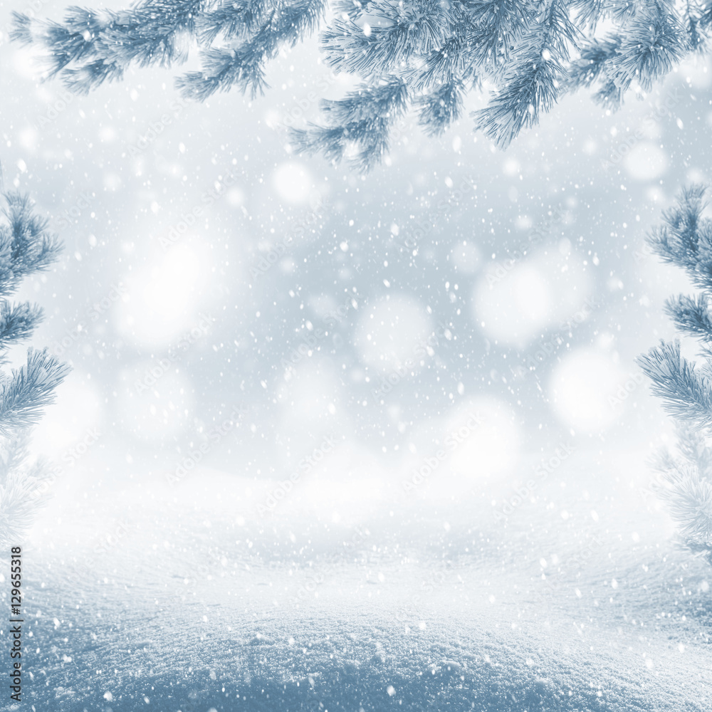 Winter bright background. Christmas landscape with snowdrifts and pine branches in the frost. Winter bright background. Christmas landscape with snowdrifts and pine branches in the frost.