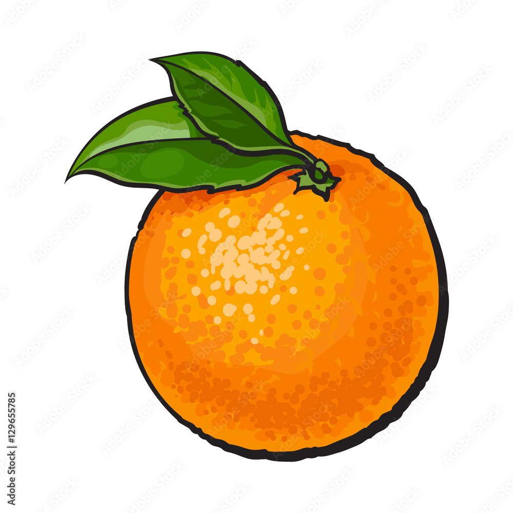 How to Draw an Orange  DrawingNow