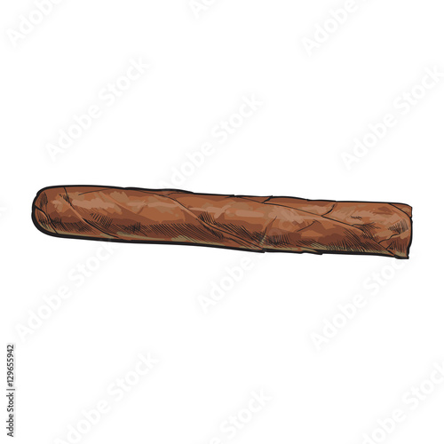 Unlabelled unlit brown Caribbean, Cuban cigar, sketch vector illustration isolated on white background. Whole, new hand drawn cigar, ready to smoke, tobacco product