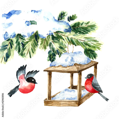 Watercolor Bullfinch on white. Drawing of a bird with winter branch and nesting box. Christmas symbol. Vintage style