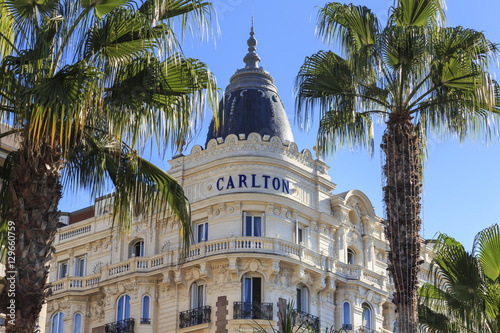 Carlton Hotel and palm trees, La Croisette, Cannes, French Riviera, Cote d'Azur, Alpes Maritimes, Provence, France photo