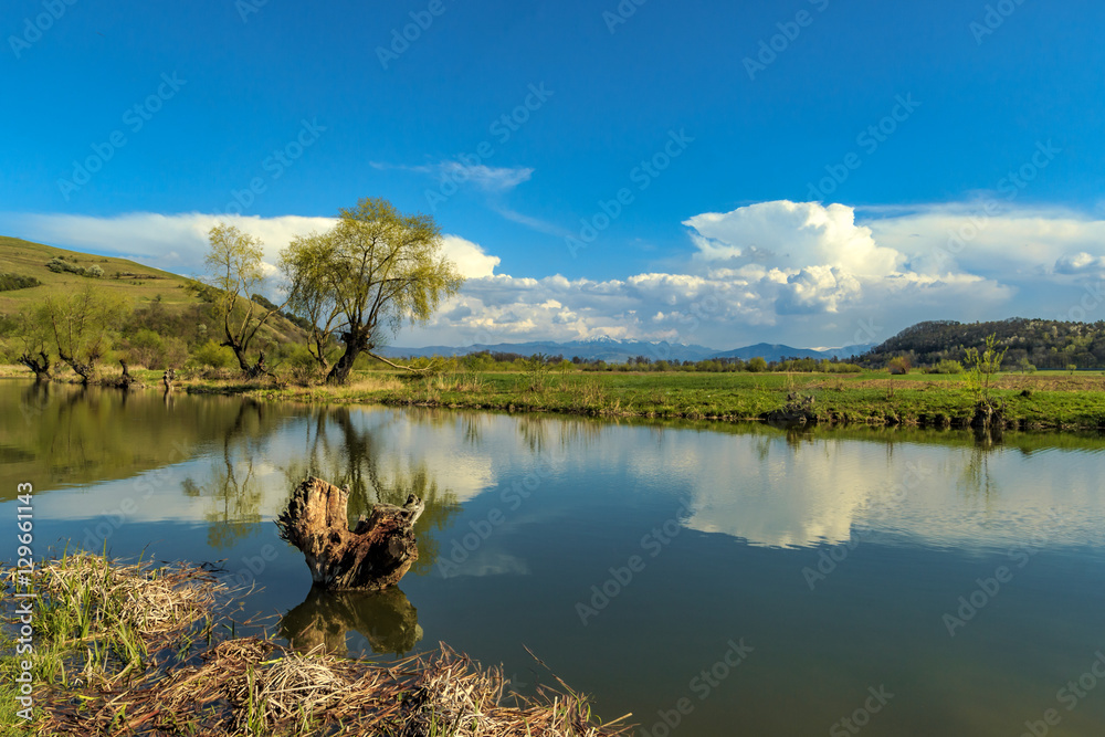 Fototapeta premium Spring by pond