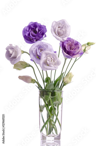 bunch of white and violet eustoma flowers in glass vase