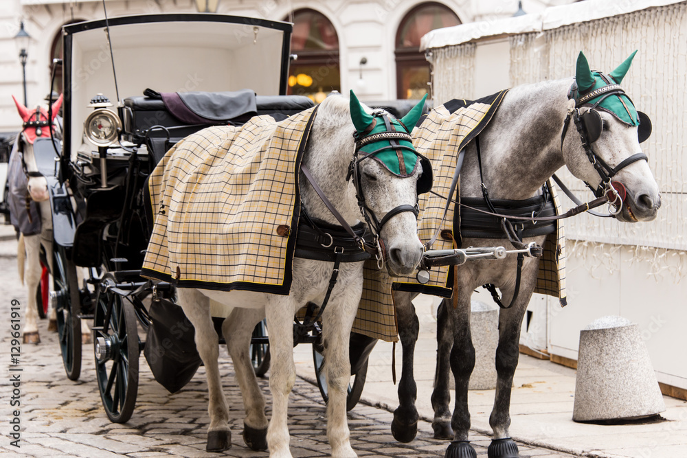 horse cab, coach, Vienna, Austria, Europe