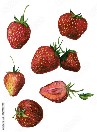 Watercolor strawberries isolated on white background