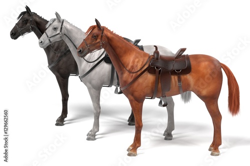 realistic 3d render of horses