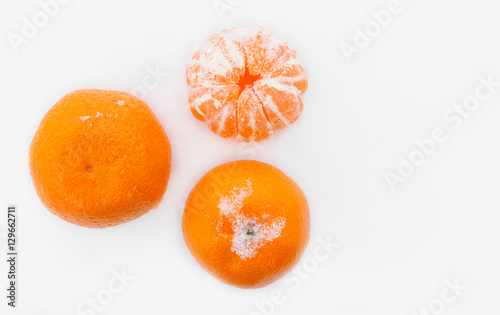 Tangerines in the snow. Beautiful winter composition.