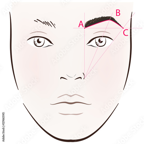 How to paint the eyebrows. Vector trendy makeup brows scheme.