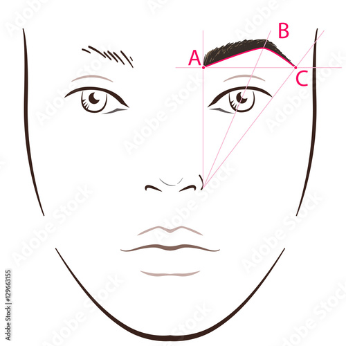 How to paint the eyebrows. Vector trendy makeup brows scheme.