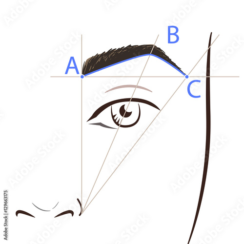 How to paint the eyebrows. Vector trendy makeup brows scheme.