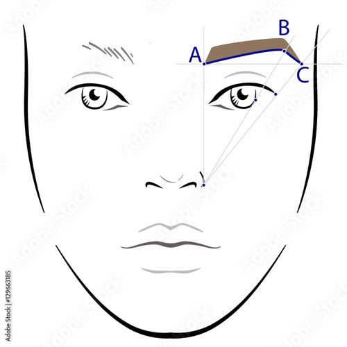 How to paint the eyebrows. Vector trendy makeup brows scheme.