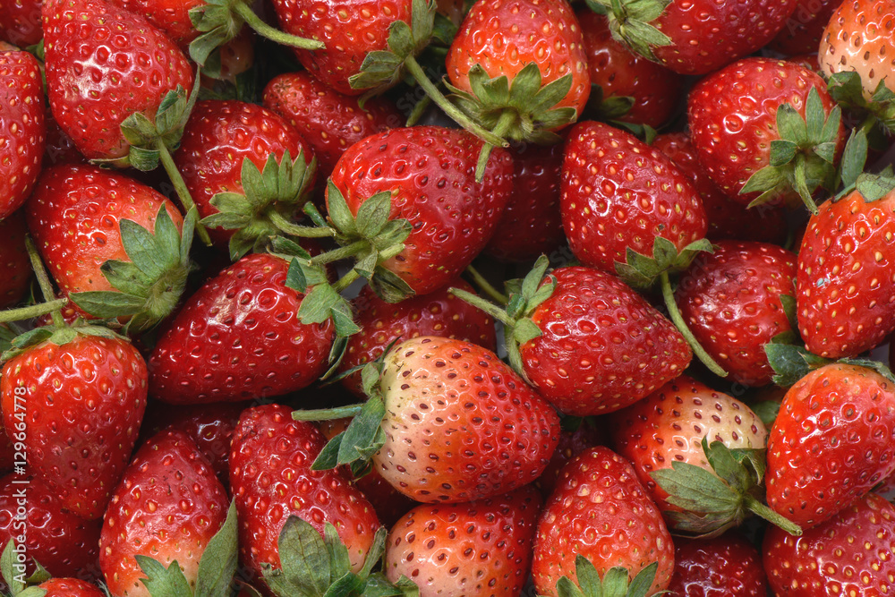 Stack ripe strawberry organic for background Stack ripe strawberry organic for background