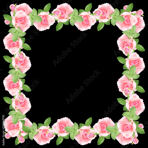Beautiful floral pattern of pink roses  © Ann-Mary