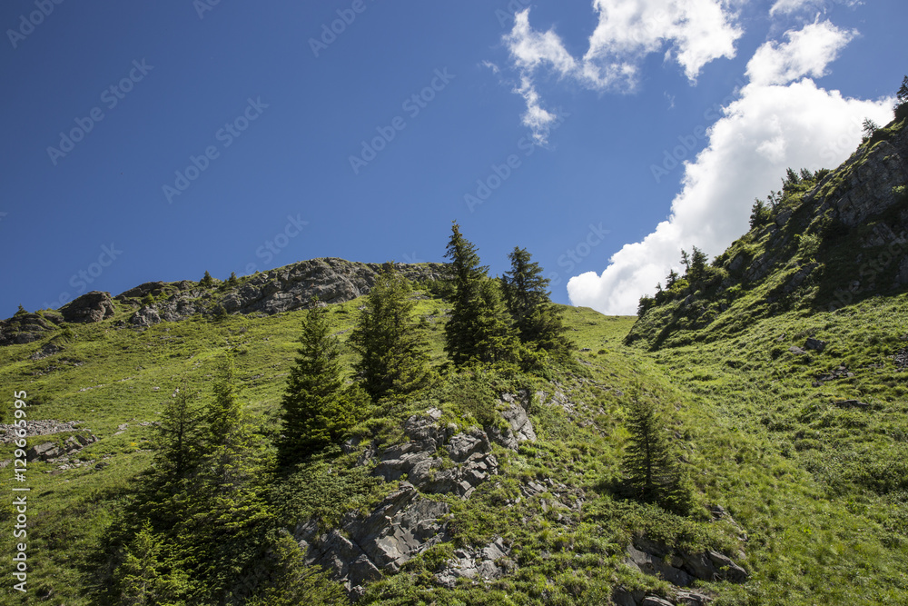 Bucolic green summer alpine landscape, Swiss Alps mountain massif, canton du Valais, Switzerland