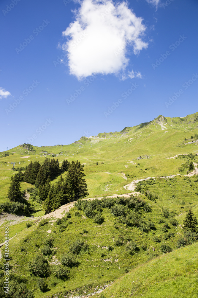 Bucolic green summer alpine landscape, Swiss Alps mountain massif, canton du Valais, Switzerland