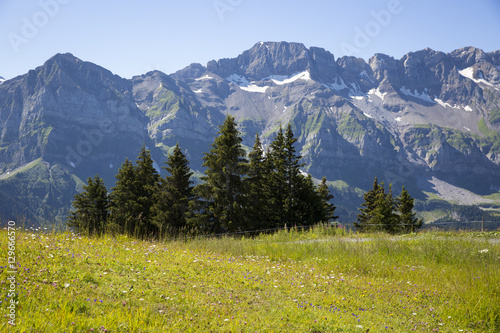 Green alpine landscape in summer, view over Swiss Alps mountain massif, Canton du Valais, Switzerland