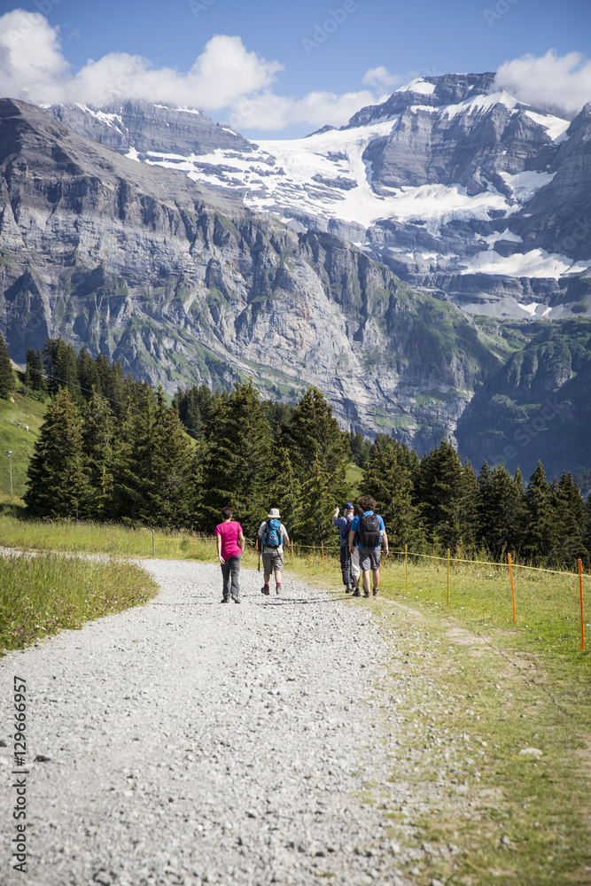 Group of people hiking in bucolic green summer alpine landscape, Swiss Alps mountain massif, canton du Valais, Switzerland