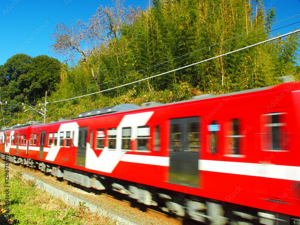 Obraz premium 竹林の脇を通る流山線の赤い電車