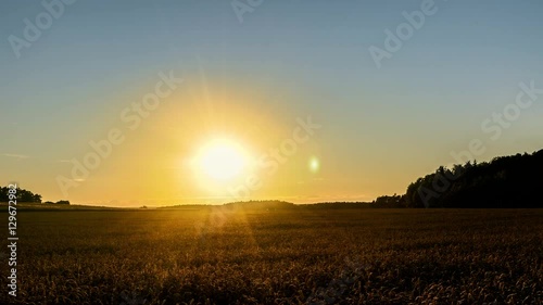 sunset in summer over fields 4K