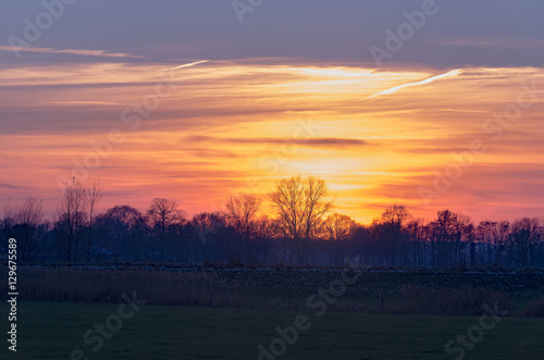 Rural landscape with row of trees at sunset. Achterhoek. Gelderl
