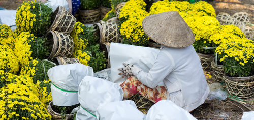 Sa Dec, Vietnam - January 31, 2016: A woman in traditional conical hat, wrapping and selling flowers, Lunar New Year in Vietnam, Asia Pacific photo