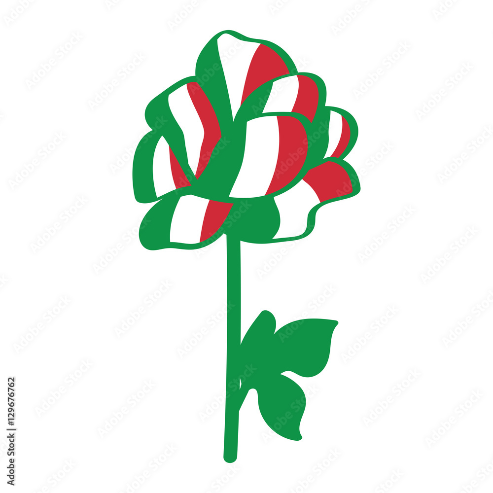 Rose with the flag of Italy. Isolated background Stock Vector | Adobe Stock