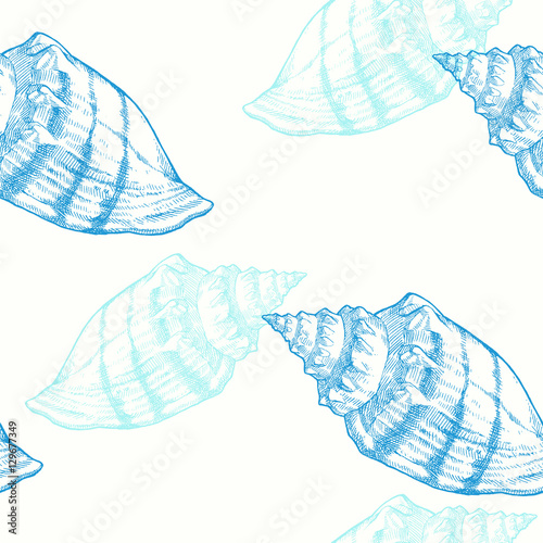 Seashell. Hand drawn marine graphic illustration. Vector seamless pattern