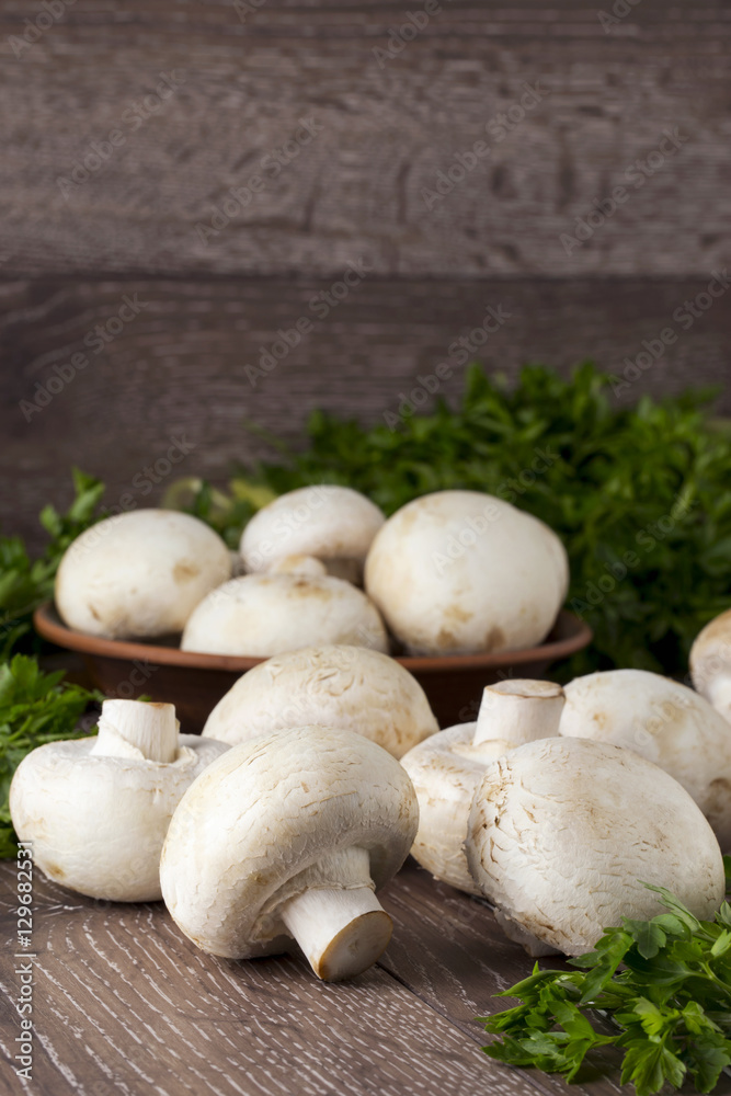 edible raw mushrooms edible raw mushrooms