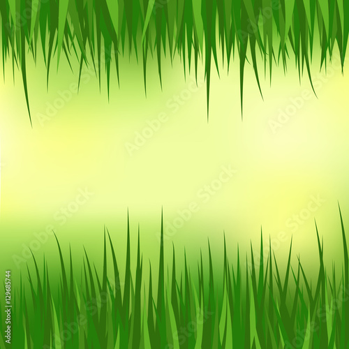 Floral nature background. Vector illustration grass frame