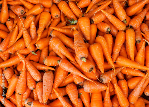 Carrot background. Macro. Organic food.