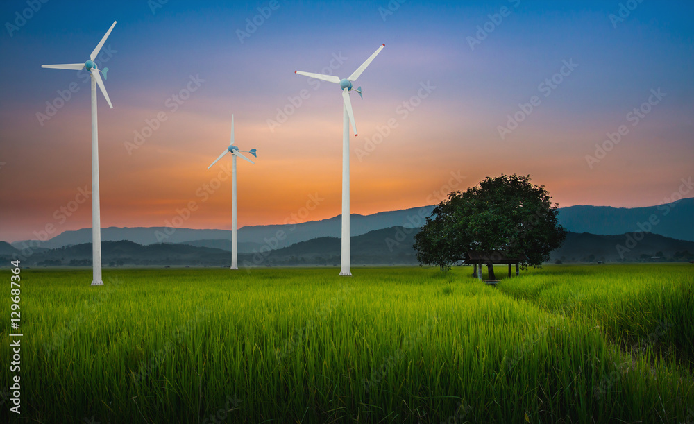 Obraz premium Wind Turbine for alternative energy in green rice field and mountain with sky sunset. Eco power