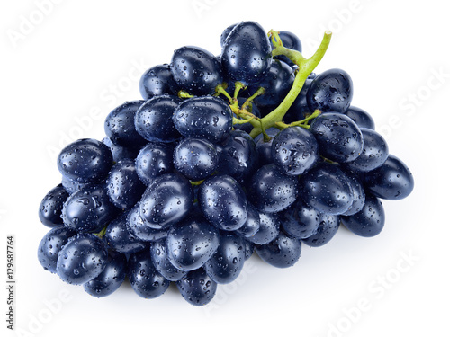 Dark blue grape. Bunch isolated on white background. With drops.