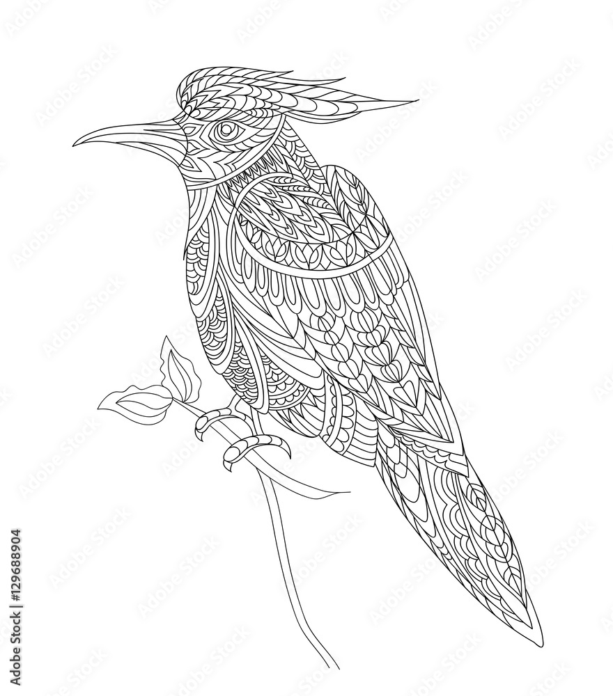 Obraz premium Coloring page with fantasy bird. T-shirt print design. Line art. Vector illustration hand drawn.