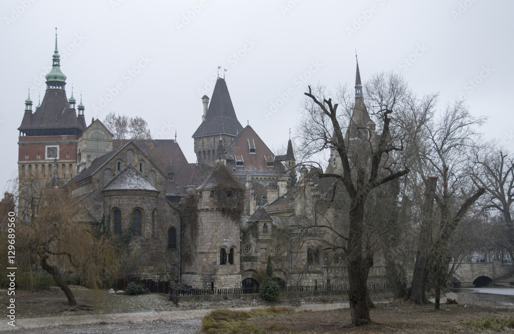 An old abandoned castle in the winter