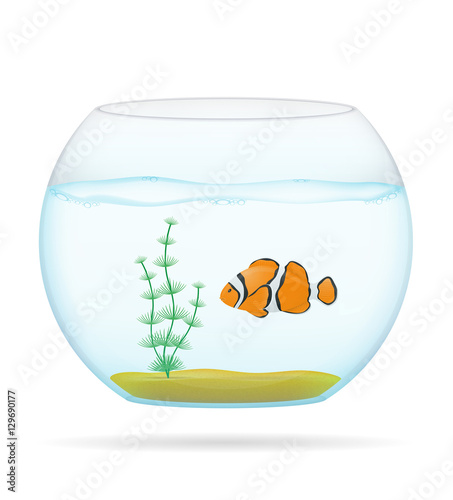 fish in a transparent aquarium vector illustration