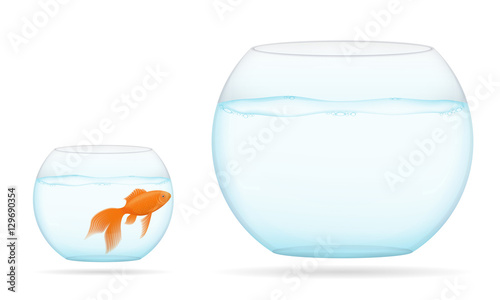 fish in a transparent aquarium vector illustration