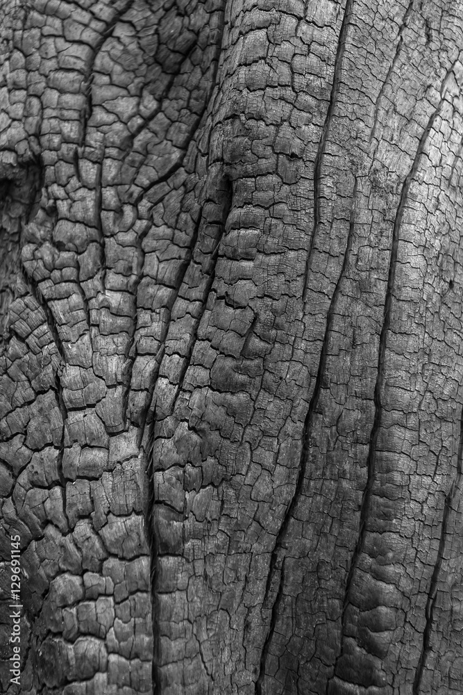 Natural wood charcoal Isolated on white, traditional charcoal or Natural wood charcoal Isolated on white, traditional charcoal or