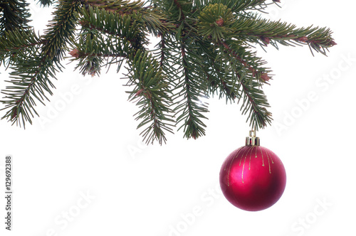 christmas red ball on the green branch isolated