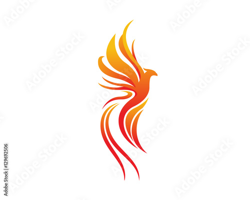Modern Bird Logo - Flaming Phoenix Symbol