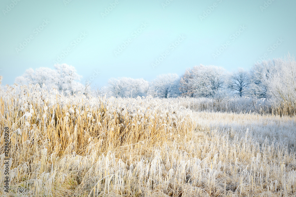 rime frost landscape at Havel river (Brandenburg - Germany) rime frost landscape at Havel river (Brandenburg - Germany)