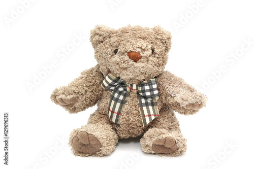 Isolated fluffy teddy bear on white background