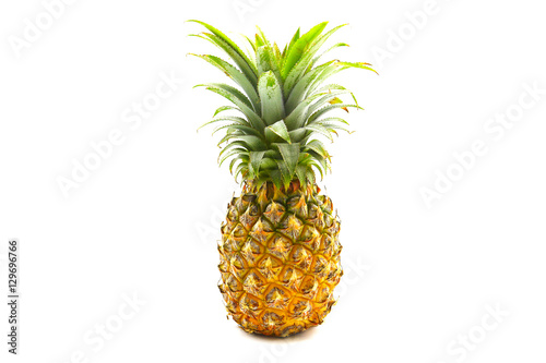 Isolated of pineapple fruit on white background