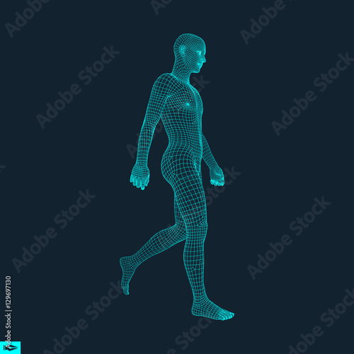 Walking Man. 3D Human Body Model. Human Body Wire Model.