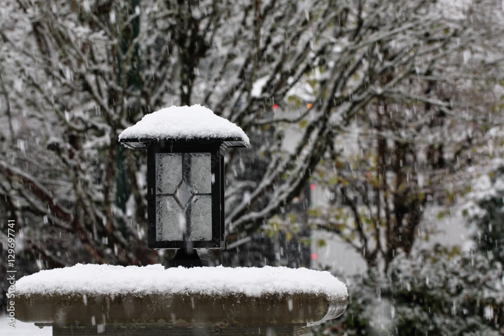 street lamp in snow left street lamp in snow left