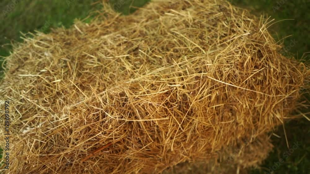 Bale of hay tied with string. Bale of hay tied with string.