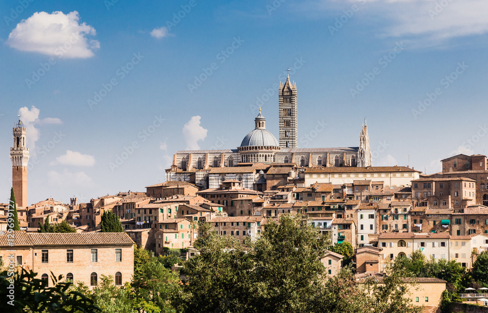 View of the medieval city of Siena, Tuscany, Italy