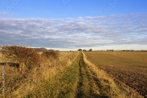 footpath in autumn